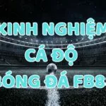 Kinh nghiệm cá độ bóng đá Fb88