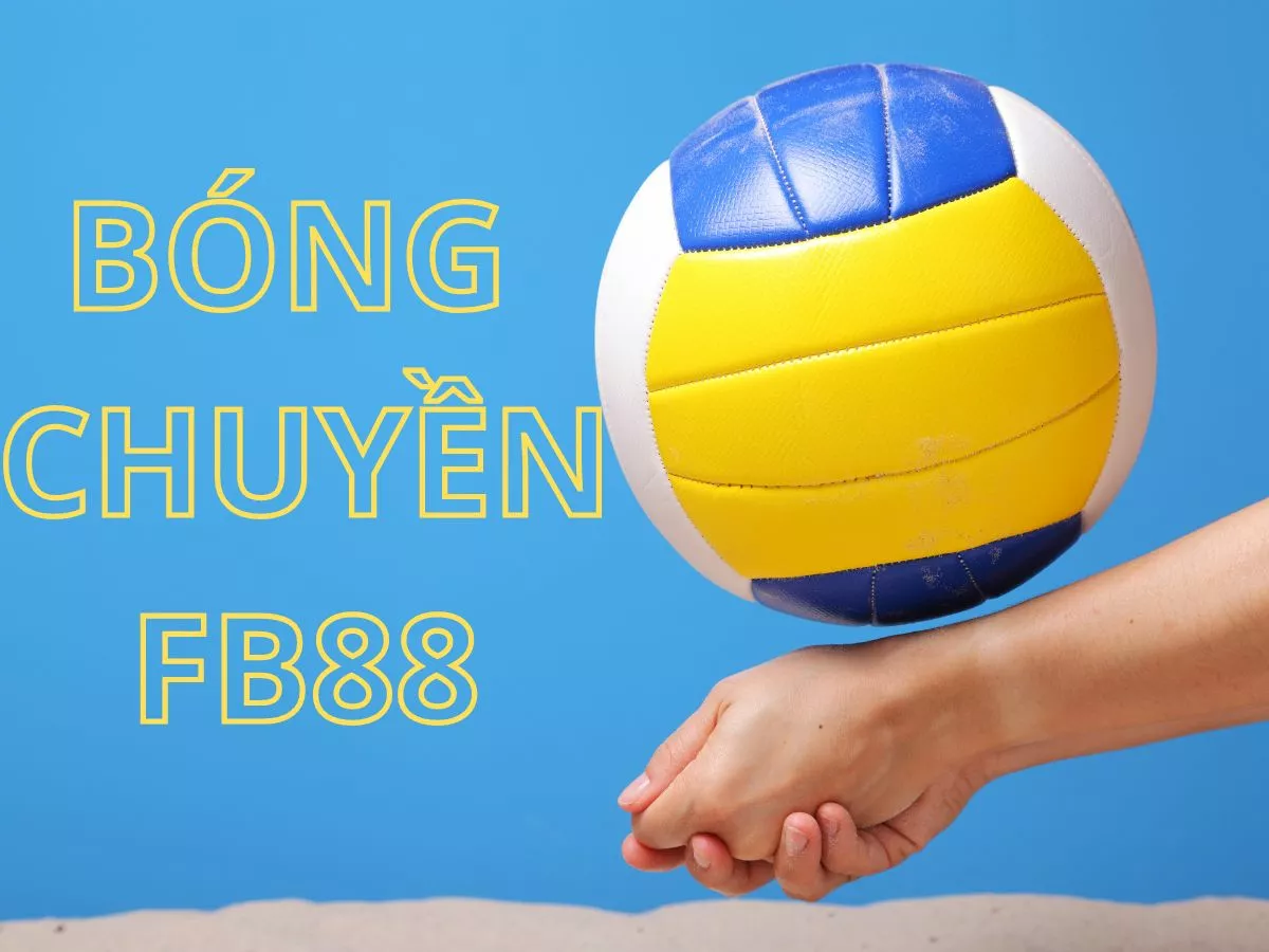 cá cược bóng chuyền fb88