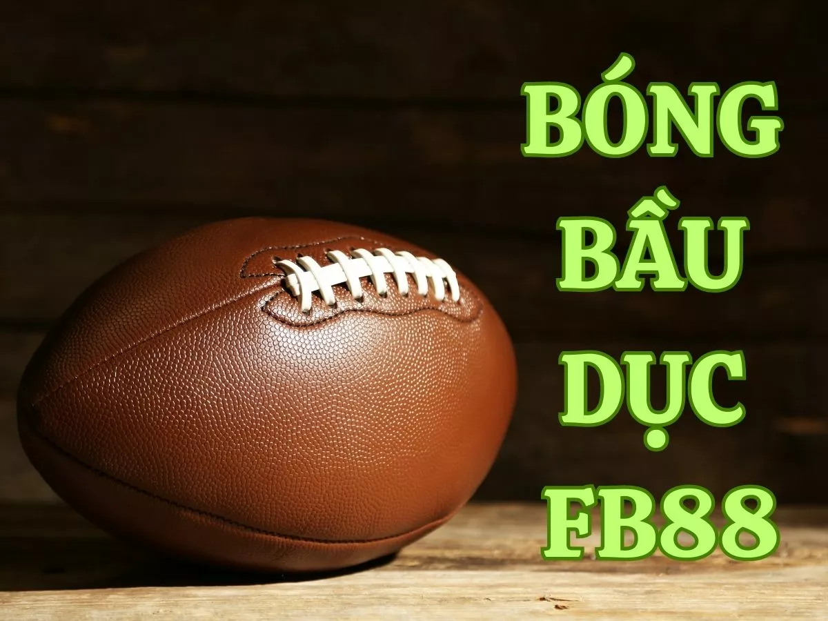 hướng dẫn cá cược bóng bầu dục fb88