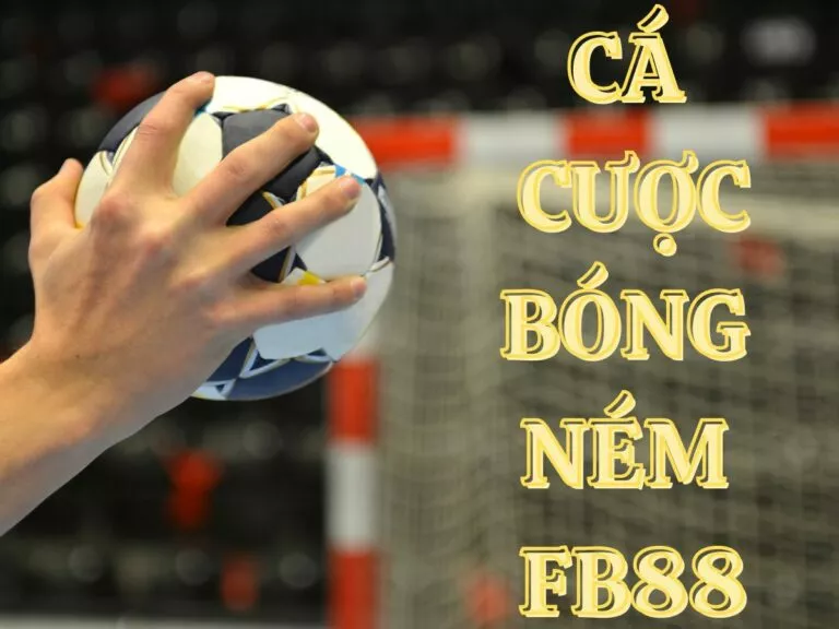 hướng dẫn cá cược bóng ném fb88