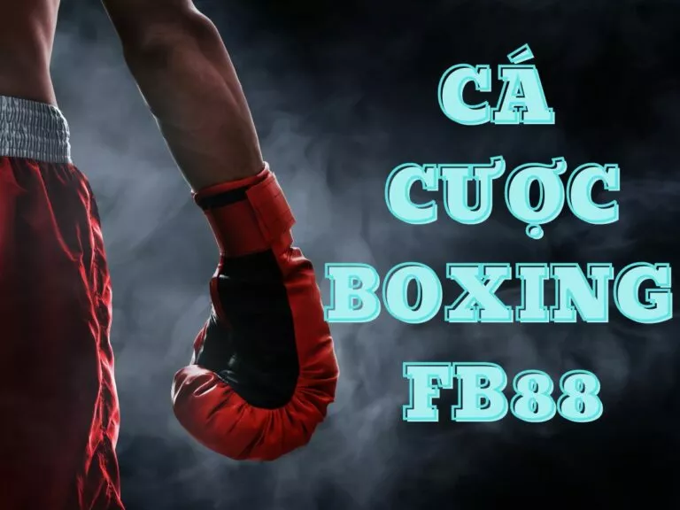 hướng dẫn cá cược boxing fb88