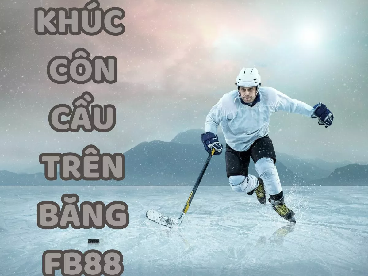 cá cược khúc côn cầu trên băng fb88