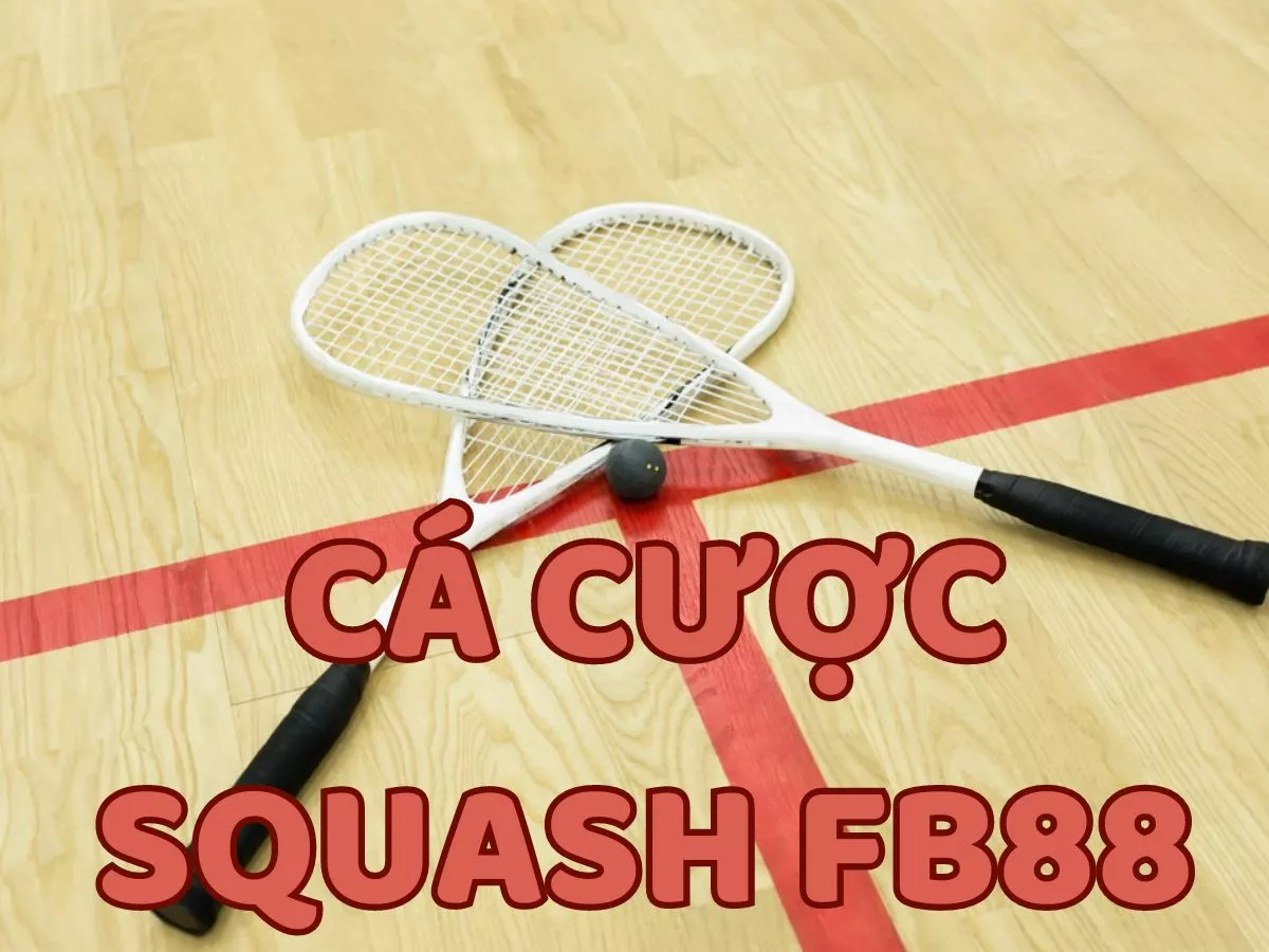 cá cược squash fb88