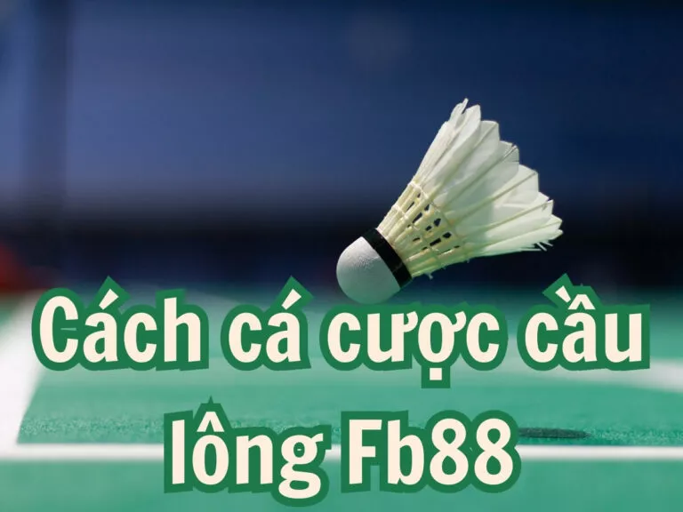 cách cá cược cầu lông fb88